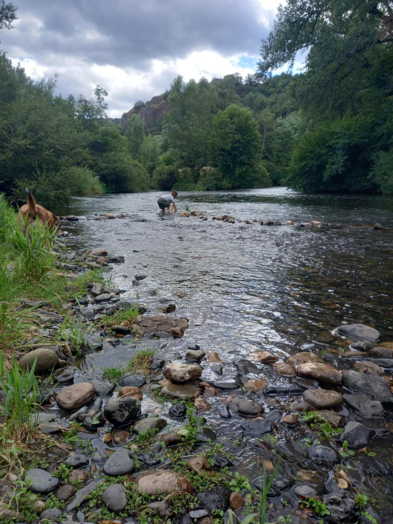 Sur Les Rives Du Allier Ferienhaus *