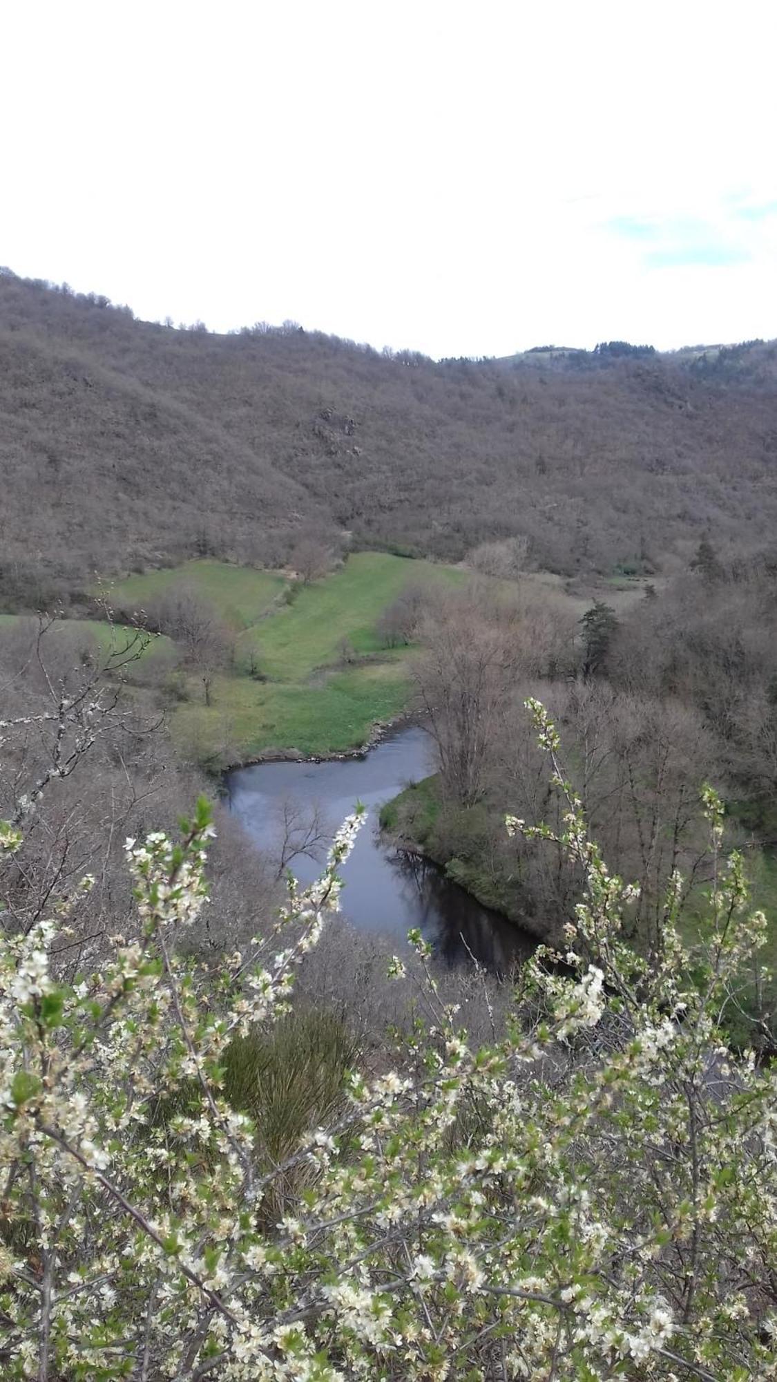 Sur Les Rives Du Allier