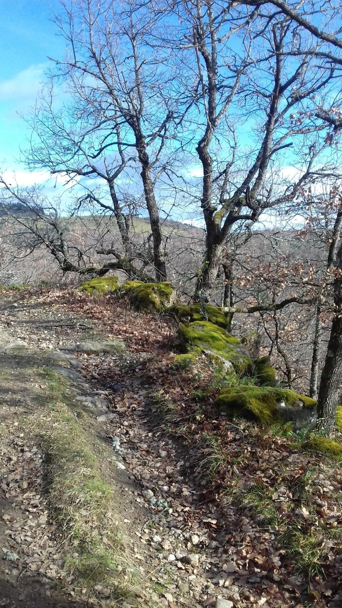 Sur Les Rives Du Allier Ferienhaus Blassac