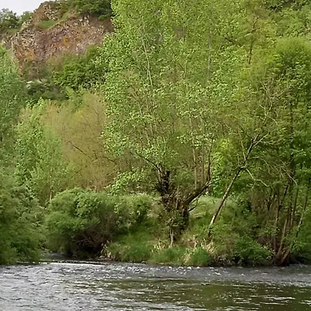 Sur Les Rives Du Haut Allier Blassac Exterior foto