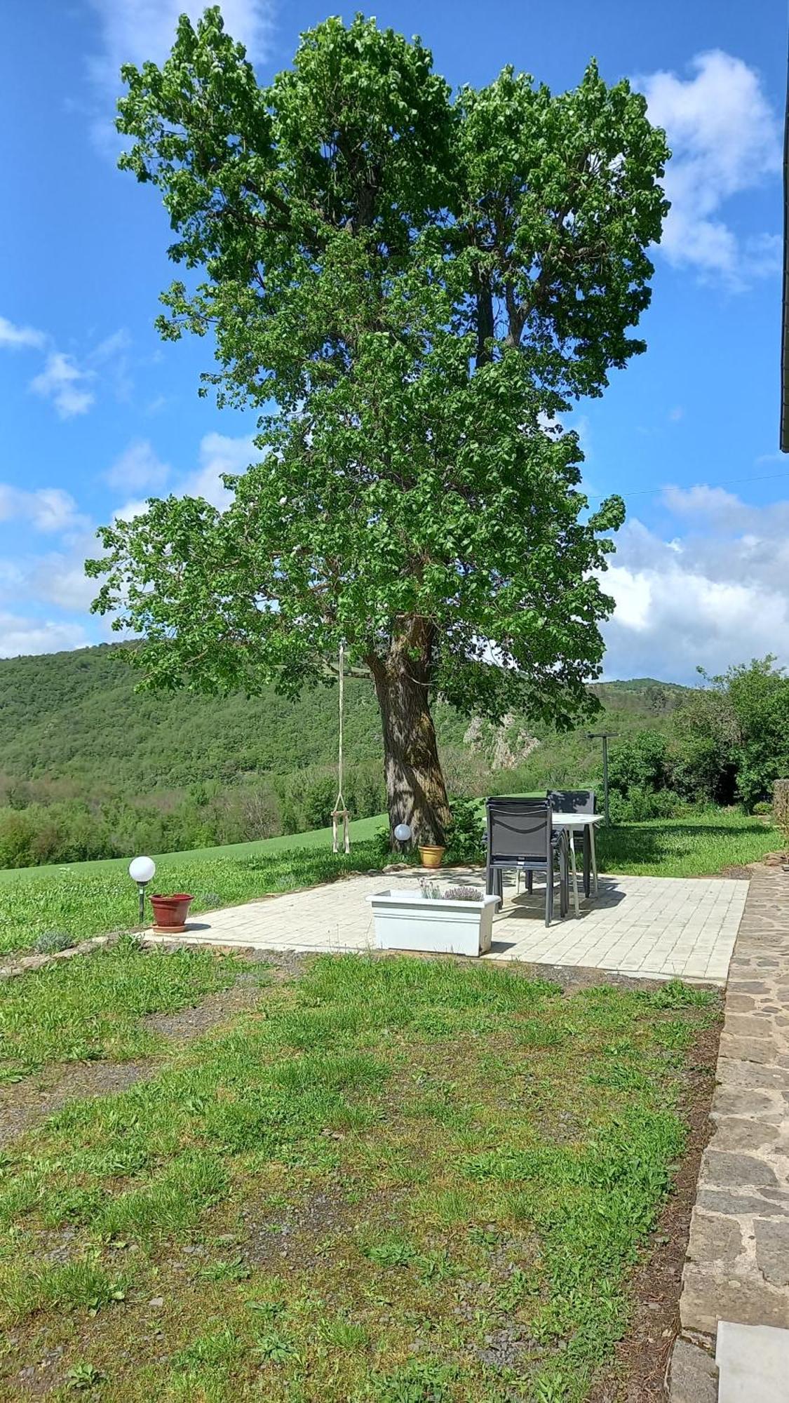 Sur Les Rives Du Allier Blassac