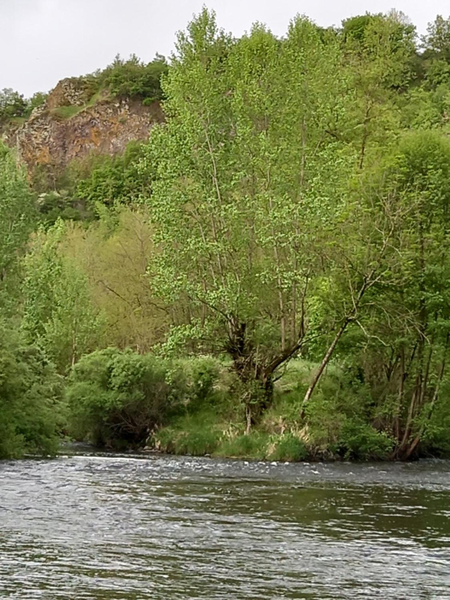 Sur Les Rives Du Allier Blassac