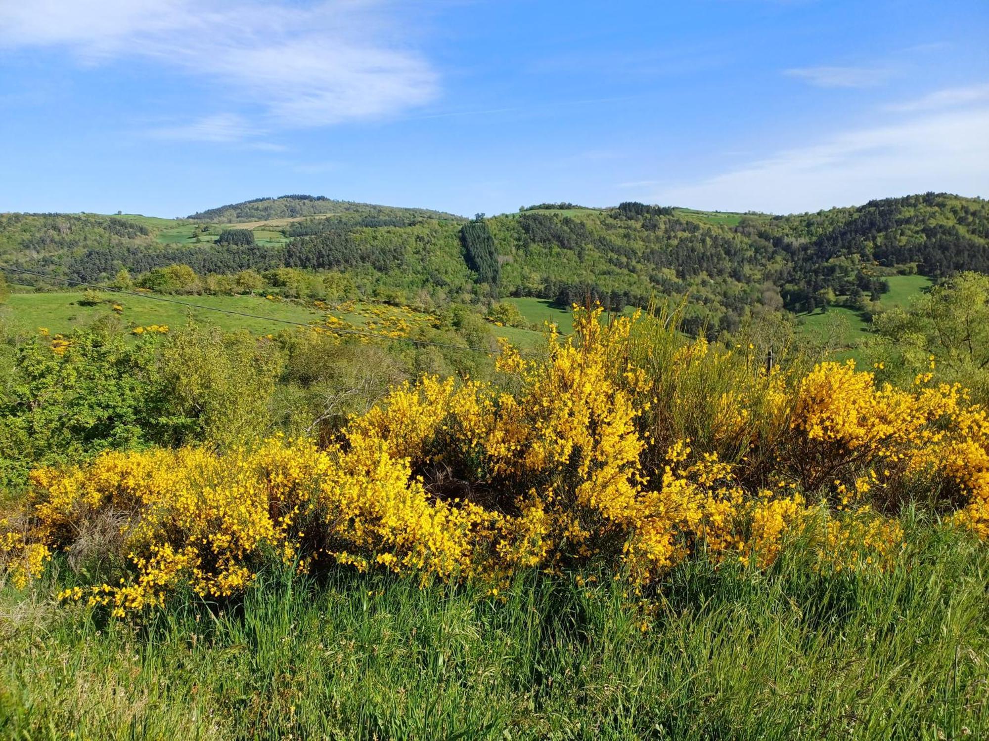 Holiday home Sur Les Rives Du Allier Blassac